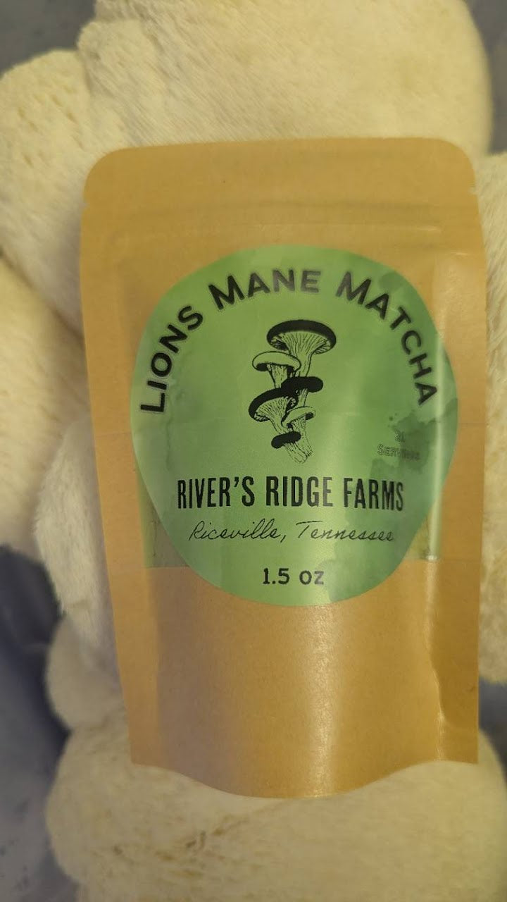 Lions Mane Matcha