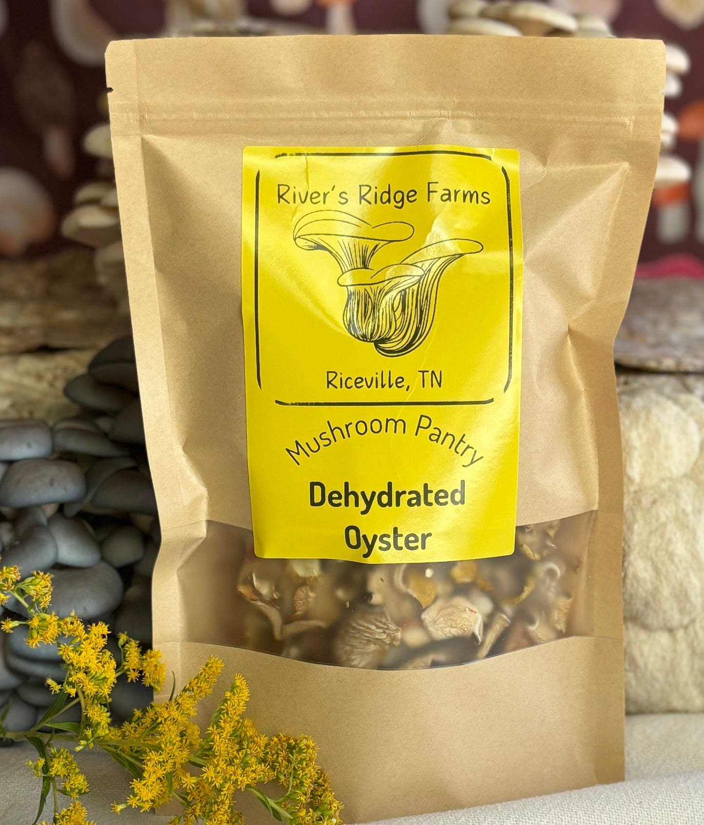 Dehydrated Oyster Mushroom- 2 oz