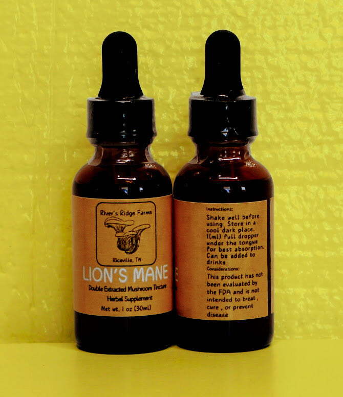 Mushroom Tincture 1oz (30 mL)