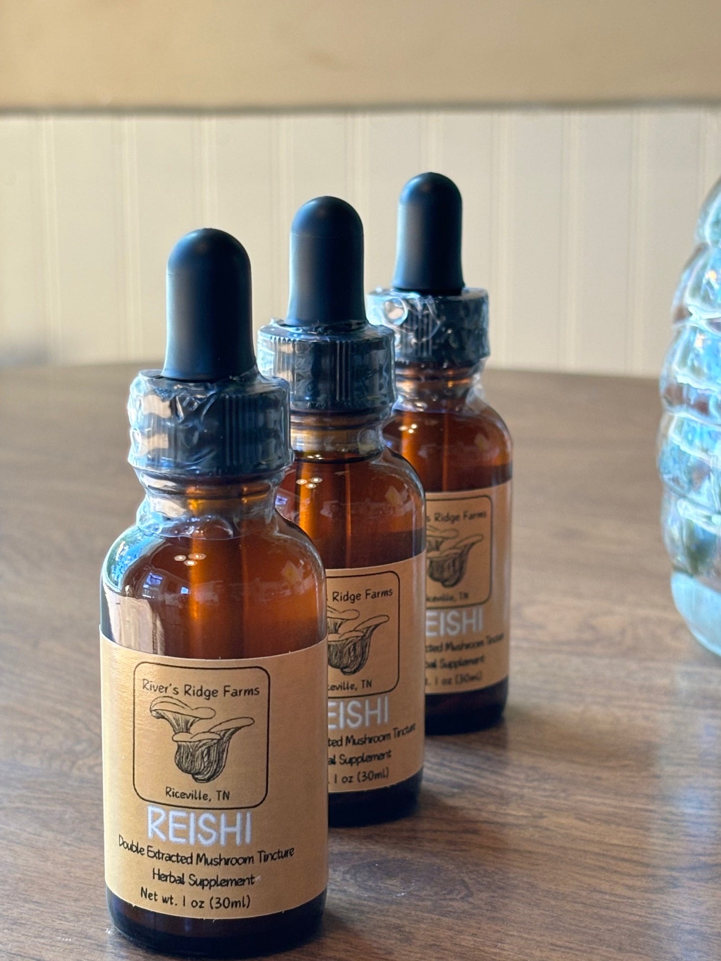 Reishi - Tincture 1oz (30mL)