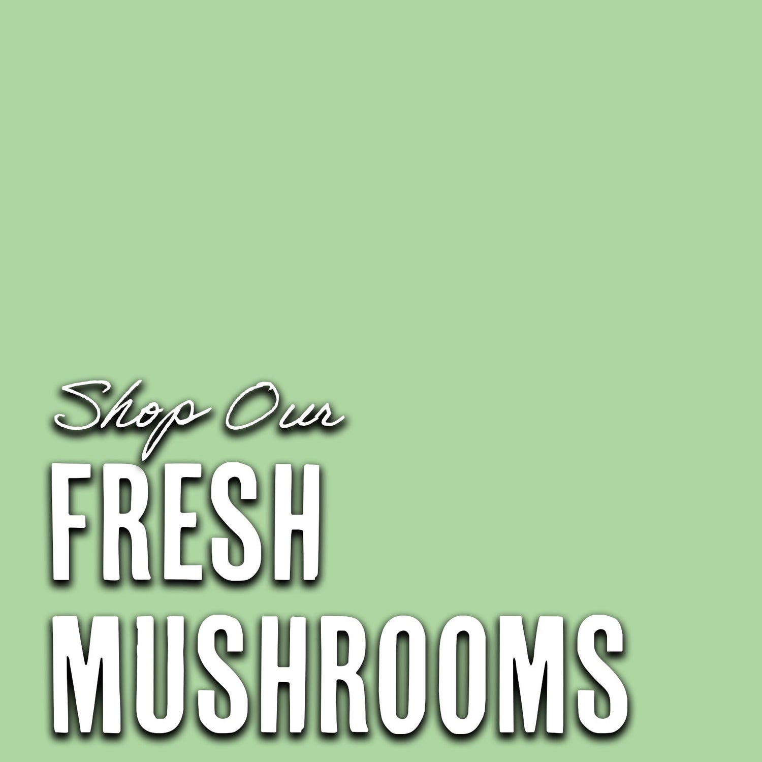 Fresh Mushrooms