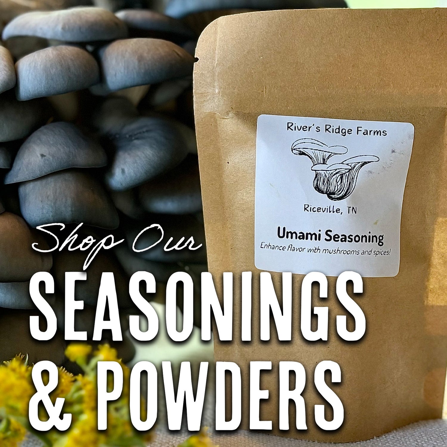 Seasonings & Powders