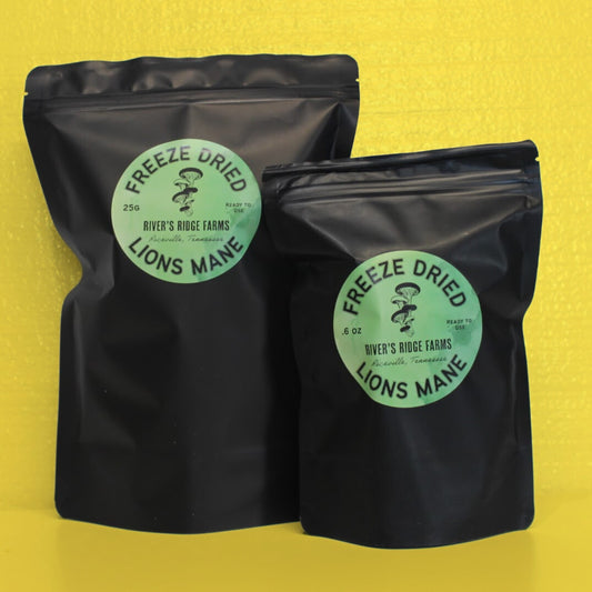 Freeze Dried Lions Mane