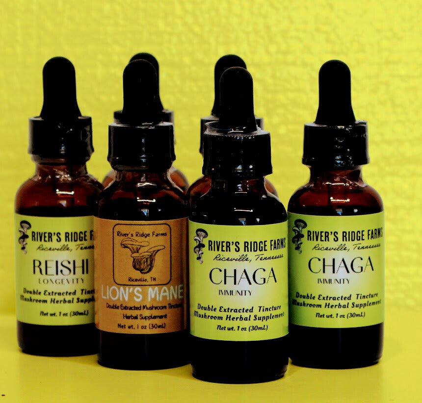 Mushroom Tincture 1oz (30 mL)